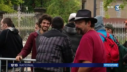 Cette année, les vendanges sont en avance