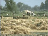 Shabbir Ibne Adil, PTV, News Report: Land Distribution in Nawabshah (2001)