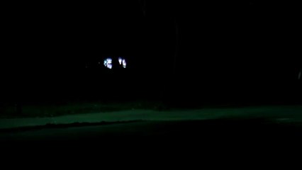 perro araña mutante jajaja tremendo susto