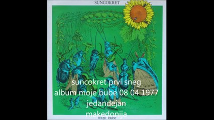 Suncokret -11 prvi sneg jd