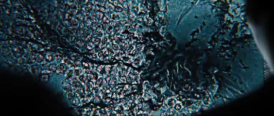 Maze Runner_ The Scorch Trials _ Official Trailer 2 [HD] _ 20th Century FOX