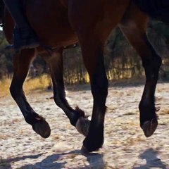 Taylor Swift publicó adelanto de su nuevo proyecto audiovisual