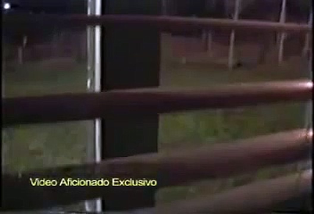 alien caught on camera running in the yard