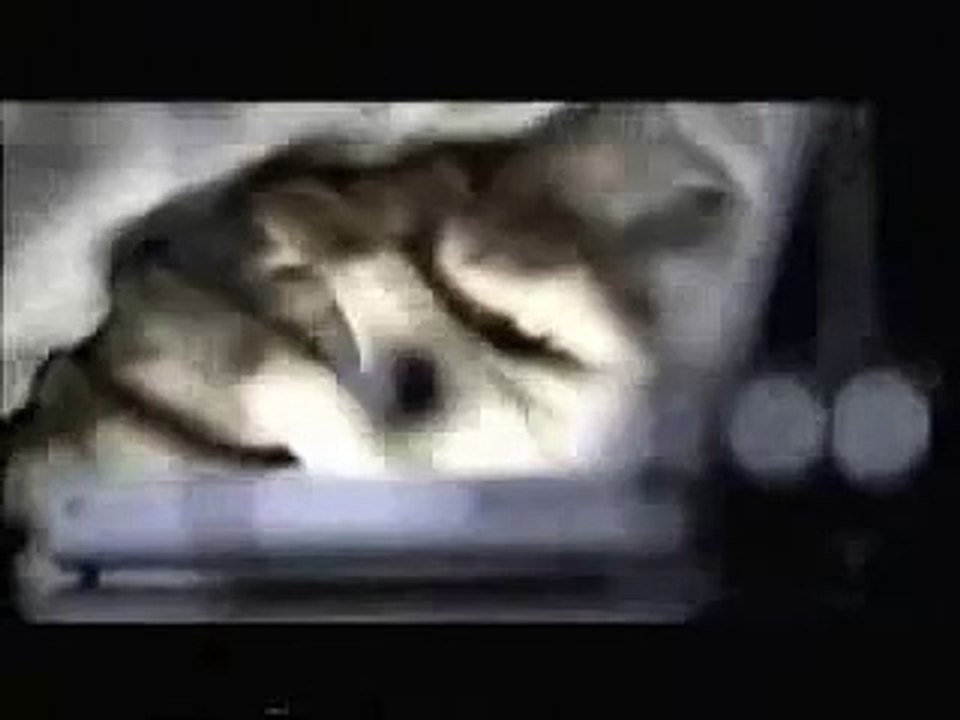 الصلاة خير من النوم مؤثرة ومعبرة
