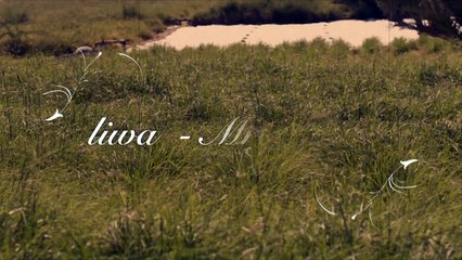 اقرب وتبعد فرقة المزيود الحربية