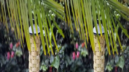 Samsung NX300 3D Sample