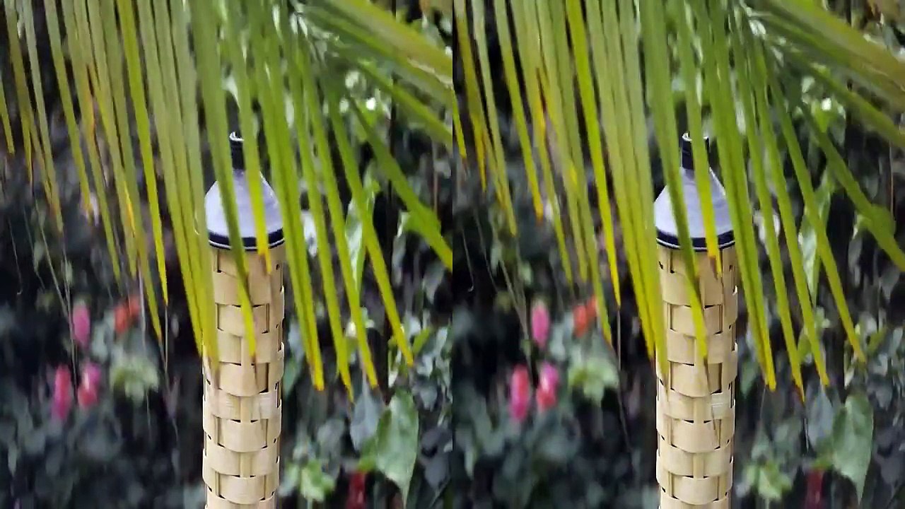 Samsung NX300 3D Sample