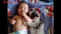 Funny Baby and Cats Playing Together - Baby and Cats funny Videos