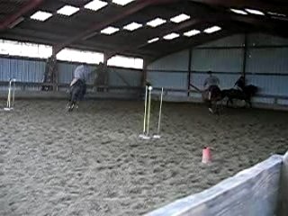 Les adultes en reprise