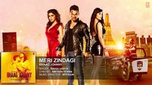 Meri Zindagi | Full Song | Rahul Vaidya | Mithoon | Bhaag Johnny