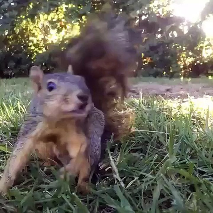 amazing action