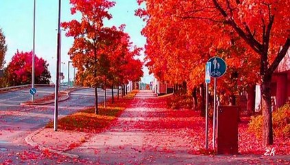 mabel matiz - zor değil