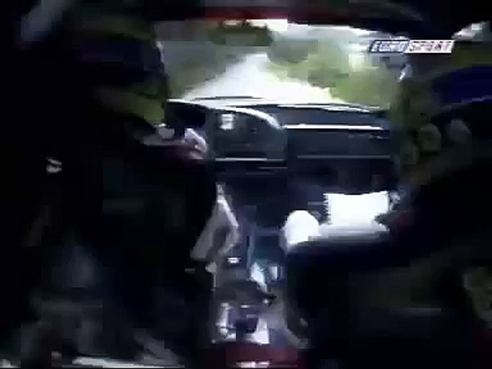 Rally car hits a cow
