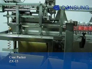 Automatic mineral water bottle carton packing machine