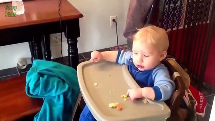 Cute Cats and Dogs Love Babies Compilation 2015 [NEW HD]