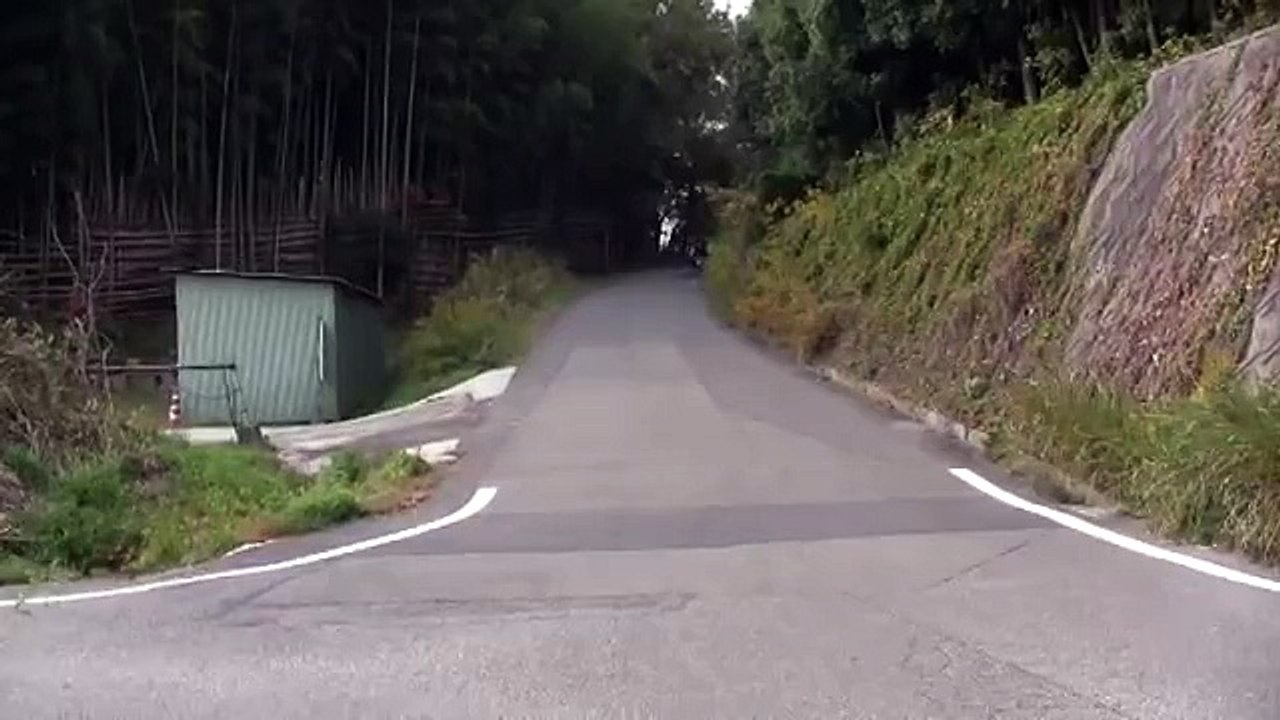 1992 Harley Davidson Softail  FXSTC（エボ）