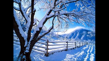 Anne Murray - Snowbird (HQ)