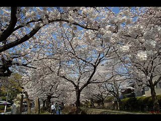 懷念日本老歌 懷念日語老歌 d10蘇州夜曲