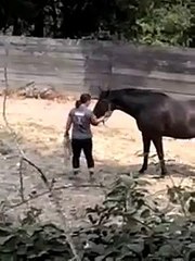 Line Dancing With Star