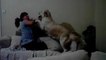 WATCH: Dog Protects Child From Mother While She Pretends To Hit Him | Dogs Protecting Toddler