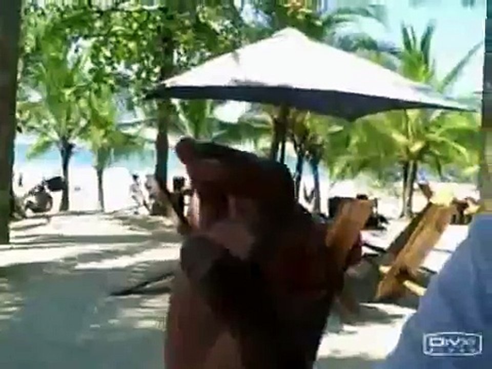 Costa Rica Day 2, part 1- Playa Avellanas and the HUGE bug(ipad)