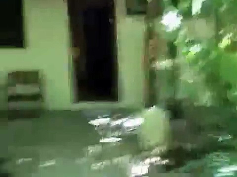 Costa Rica Day 9, part 2 arrive in Playa Guiones(ipad)