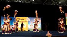 National Cheerleading 2010 2nd Champion - Wildcards