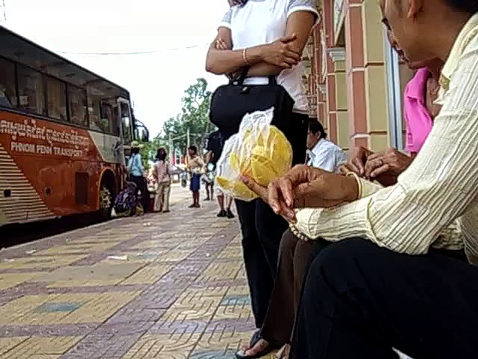 Proof - They Do Eat Bugs!