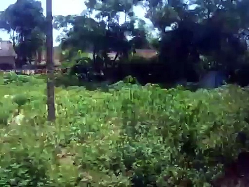 Vietnam, Scene from Train II