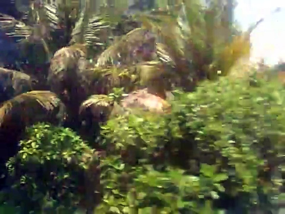 Vietnam, Scene from Train V