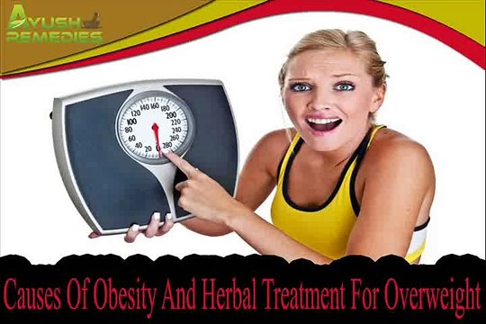 Causes Of Obesity And Herbal Treatment For Overweight