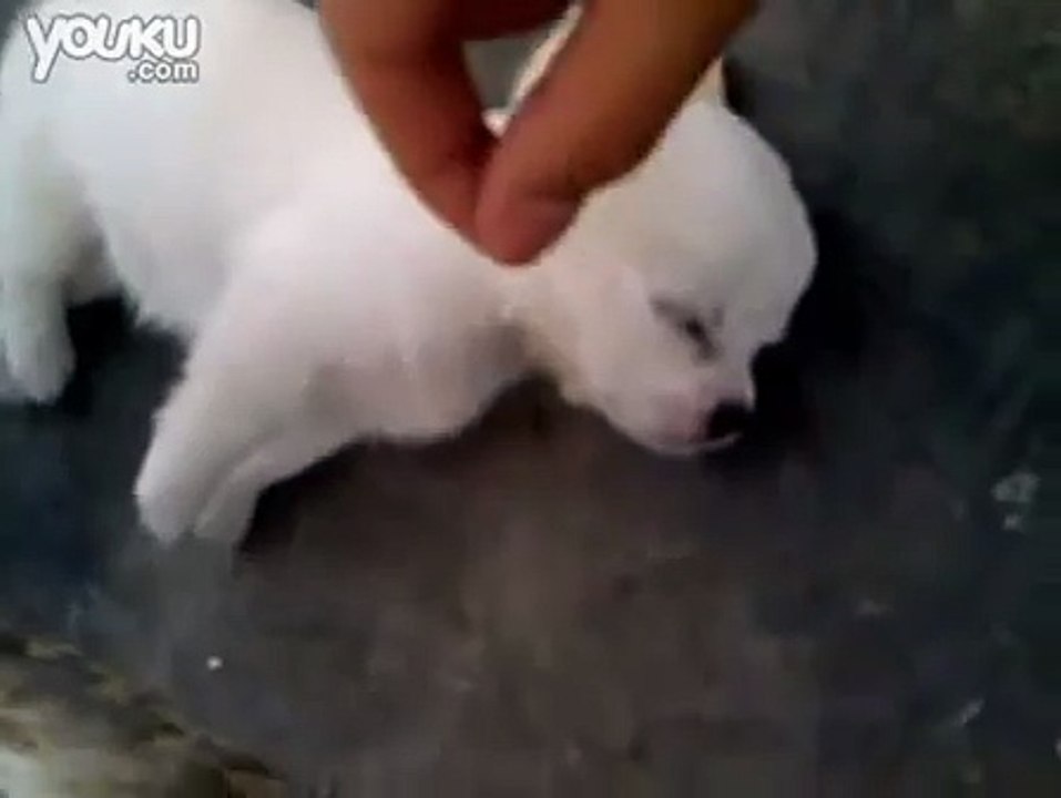 i am sleeping, back off...