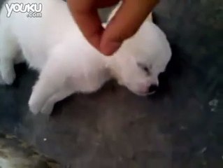 i am sleeping, back off...