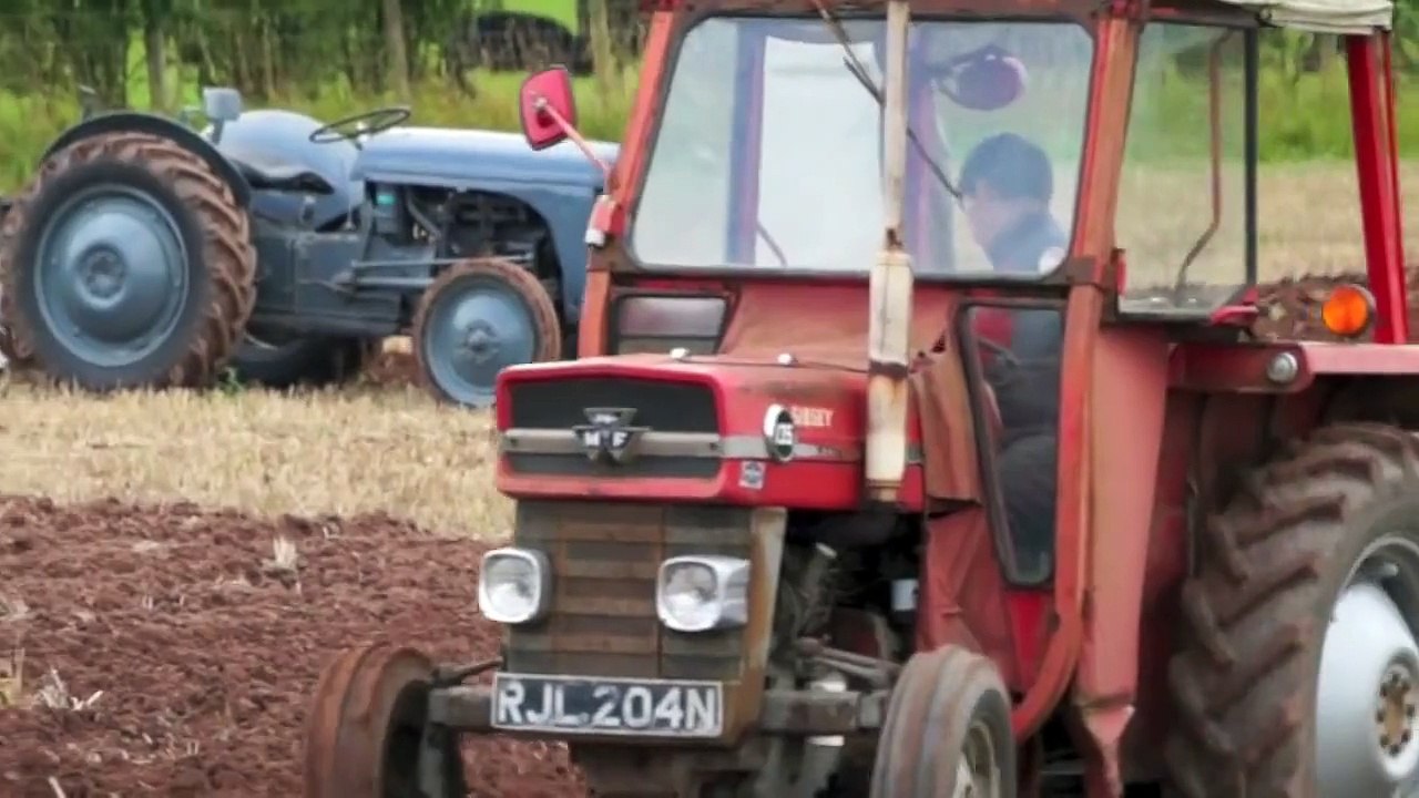 MF 135 Tractor pulling Ferguson Disc Plough in Wheat stubble