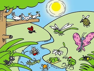 Llegó el Verano - El verano de Vivaldi