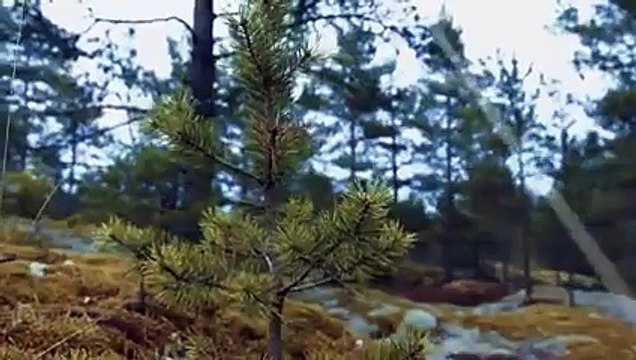 Bu Balta Başka Balta Yok Böyle Bir Balta!