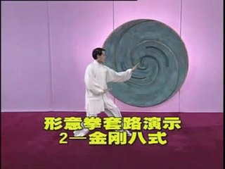 金刚八式 Xingyi quan Jingangbashi form