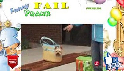 Funny Wrong Woman Takes Off with Dog 8NkQJ8L9yO4