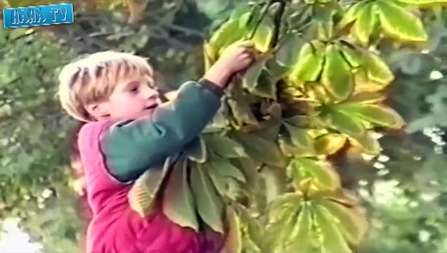 Fail Compilation 2015 Sexy Woman Funny Fail Videos 2015 Best Funny Home Videos