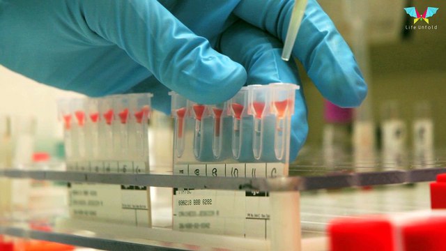 Stem Cells: The Master Cells of Our Body