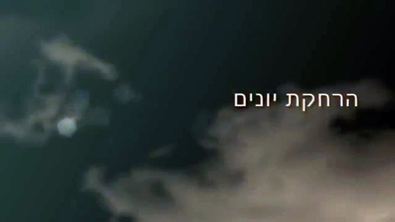 הרחקת יונים