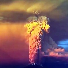 EPICALLY TERRIBLE BEAUTY!--by Funny Videos Collection