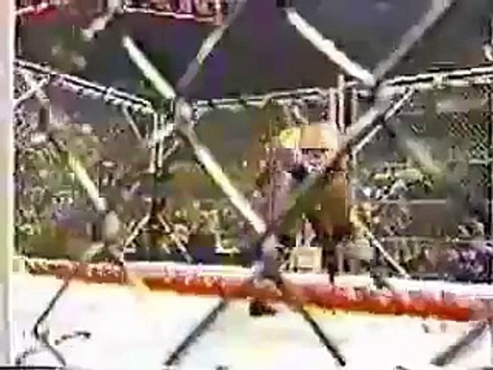 THE ROCK BOTTOM TRIBUTE