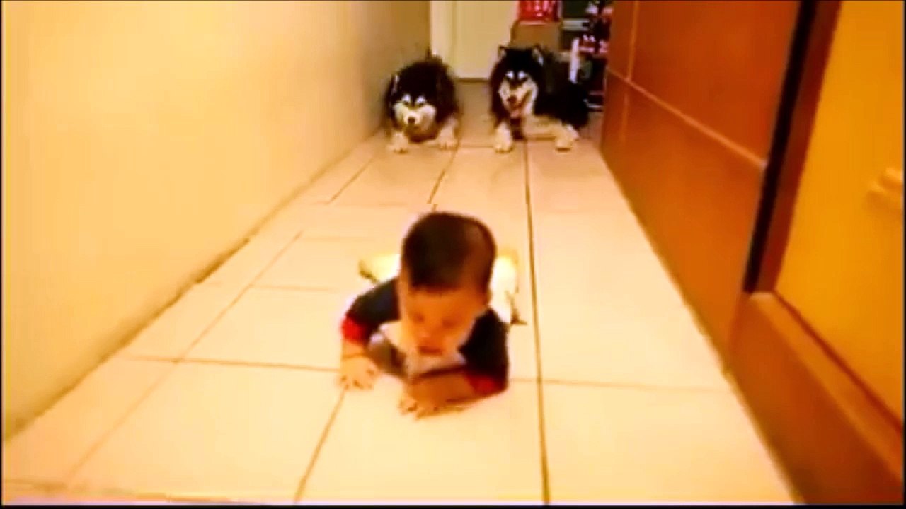 2 huskys and a baby during a hard army training...