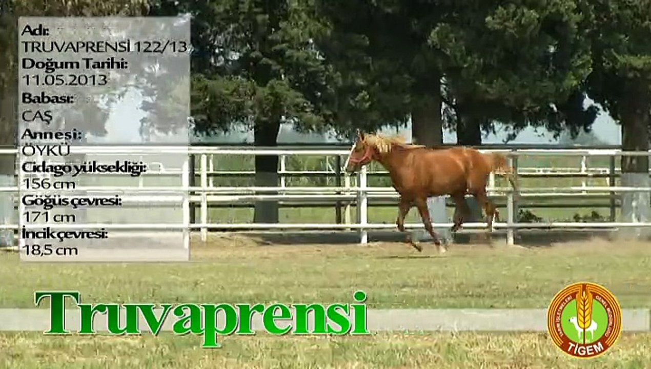 TRUVAPRENSİ