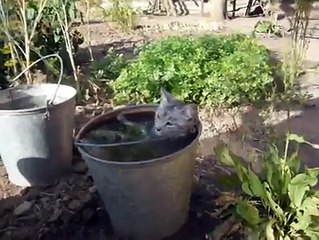 Aşırı sıcaklara O da dayanamadı