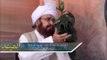 Allah Hum Say Kaisay Razi Ho Saktey Hain * Hazrat Jee Biyan * Almurshid TV Program By Hazrat Ameer Muhammad Akram Awan MZA