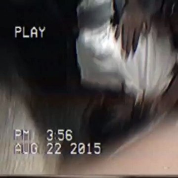 Arrestation de Wiz Khalifa à l'aéroport de Los Angeles