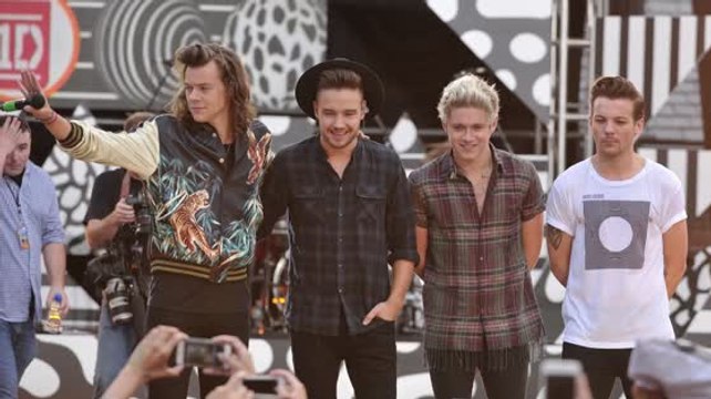One Direction's Niall Horan And Louis Tomlinson Confirm Hiatus