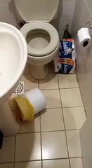 Peut-il encore plaider son innocence ?